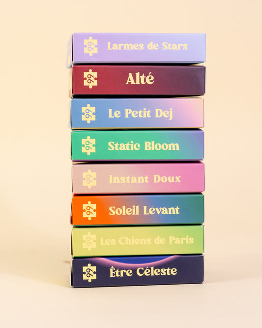 Pack 8 mini puzzles Diversité Minizz - coffret